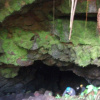 Отель Aloha Crater Lodge and Lava Tube, фото 26