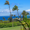 Отель Kaanapali Plantation 9, фото 21