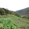 Отель Wangdue EcoLodge, фото 15