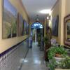 Отель Hostal Virgen del Rocio, фото 15