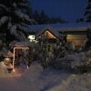 Отель Pine Cones Bed & Breakfast, фото 9