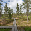 Отель Kuukkeli Log Houses Villa Aurora (Pupula), фото 34