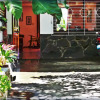 Отель Balay de la Rama Bed & Breakfast, фото 4