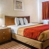 Отель Econo Lodge Inn & Suites Warren, фото 7