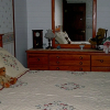 Отель Bears Lair Inn, фото 4