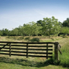 Отель Authentic Haystack in Wierden With a Terrace, фото 12