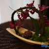 Отель Shanjingcheng Holiday Hotel, фото 9