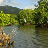 Отель Carlisle Bay, фото 33