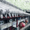 Отель Shuxin Inn, фото 15