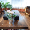 Отель Morinomiya House, фото 11