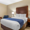 Отель Comfort Inn Near Greenfield Village, фото 7