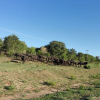 Отель Chobe Sunset Chalets, фото 23