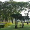 Отель Kaziranga Golf Resort, фото 19