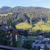 Отель Studio le Grand-Bornand Village, фото 5