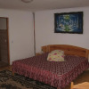 Отель Pensiunea Luminita, фото 3