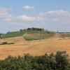 Отель Agriturismo Cignan Rosso, фото 10