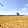 Отель Sweet Small Barn With Tennis Court, Near Goodwood, фото 9