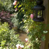 Отель Maison dhôtes La Renardière, фото 19