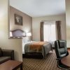 Отель Comfort Inn & Suites Midway - Tallahassee West, фото 42