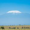 Отель Amanya Double Pitch Tent With Mt Kilimanjaro View, фото 2