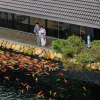 Отель KOBI Onsen Resort Hue, фото 32