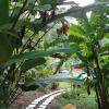 Отель Selva Color Forest & Beach Ecolodge, фото 22