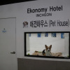 Отель Ekonomy Hotel Incheon, фото 34