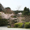 Отель Senkyoro, фото 21