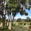 Отель Freycinet Sanctuary at Oyster Bay, фото 11