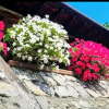 Отель Holiday Apartment Ulivella Tuscany Garfagnana, фото 1
