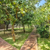 Отель Antica Limonaia in Massa Lubrense, фото 21