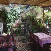 Отель Teras Paradise Guest House, фото 15