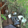 Отель Wild & Free Private Game Lodge, фото 31