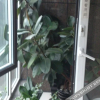 Отель Zhiren Hostel, фото 6