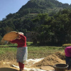 Отель Homestay Nepal, фото 8