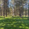 Отель Wildflower Condo #44 by Village Properties at Sunriver, фото 18