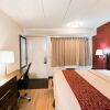 Отель Red Roof Inn PLUS+ St Louis - Forest Park/ Hampton Ave, фото 19