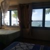 Отель Coconut Hostel Playa Estrella, фото 7