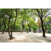 Отель Bright Stylish Park Front Near Polanco, фото 11
