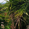 Отель De La Plage, фото 17
