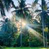 Отель Palm Galleria Resort  (SHA Extra Plus), фото 22