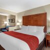 Отель Comfort Inn & Suites Middletown - Franklin, фото 5
