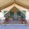 Отель Whistling Thorn Tented Camp, фото 9