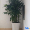 Отель Anjizole house, фото 8