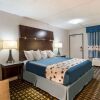 Отель Americas Best Value Inn, фото 6