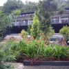 Отель Sattva The Awakening Garden, фото 23