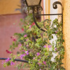 Отель Hostal Loreto, фото 41