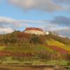 Отель Schwarzer Adler Weingut, фото 9