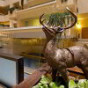 Отель Red Lion Hotel Billings, фото 1