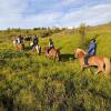 Отель Finnsstaðir Horse Ranch, фото 7